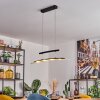 Casalino Suspension LED Noir, Transparent, 1 lumière