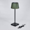 Longchamps Lampe de table d'extérieur, Lampe à poser LED Brun, Vert, 1 lumière