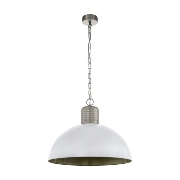 Suspension EGLO COLDRIDGE Gris, 1 lumière