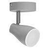 Spot Plafonnier Luminaires Ledvance LED Gris, 1 lumière