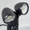 Plingshult Luminaire extérieur, Pieu, Eclairage de chemin LED Noir, 2 lumières