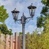 Loria Luminaire extérieur, Réverbère, Eclairage de chemin Noir, Argenté, 2 lumières