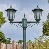 Loria Luminaire extérieur, Réverbère, Eclairage de chemin Vert, Noir, 2 lumières