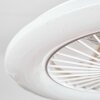 Benasal Plafonnier, Ventilateur de plafond lumineux Blanc, 1 lumière, Télécommandes