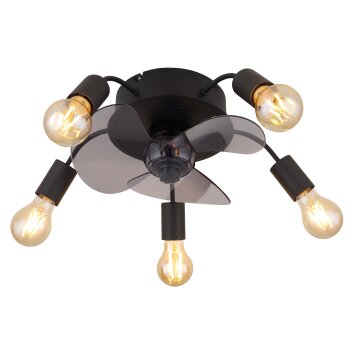 Alisha Ventilateur de plafond lumineux Luminaires Globo Lighting Noir, 5 lumières, Télécommandes