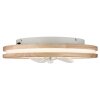 Gatian Ventilateur de plafond lumineux Luminaires Globo Lighting LED Brun foncé, Blanc, 1 lumière, Télécommandes