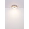 Gatian Ventilateur de plafond lumineux Luminaires Globo Lighting LED Brun foncé, Blanc, 1 lumière, Télécommandes