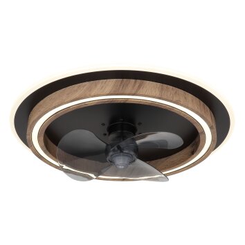 Bozan Ventilateur de plafond lumineux Luminaires Globo Lighting LED Écru, Noir, 1 lumière, Télécommandes