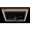 Celinata Ventilateur de plafond lumineux Luminaires Globo Lighting LED Noir, 1 lumière, Télécommandes