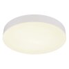 Matthew Plafonnier Luminaires Globo Lighting LED Blanc, 1 lumière