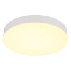 Matthew Plafonnier Luminaires Globo Lighting LED Blanc, 1 lumière