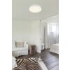 Matthew Plafonnier Luminaires Globo Lighting LED Blanc, 1 lumière