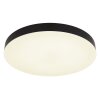 Matthew Plafonnier Luminaires Globo Lighting LED Noir, Blanc, 1 lumière