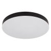 Matthew Plafonnier Luminaires Globo Lighting LED Noir, Blanc, 1 lumière