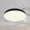 Matthew Plafonnier Luminaires Globo Lighting LED Noir, Blanc, 1 lumière