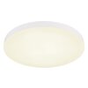 Matthew Plafonnier Luminaires Globo Lighting LED Blanc, 1 lumière