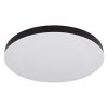 Matthew Plafonnier Luminaires Globo Lighting LED Noir, Blanc, 1 lumière