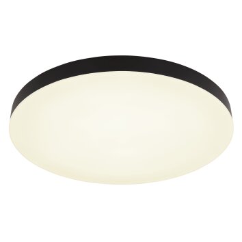 Matthew Plafonnier Luminaires Globo Lighting LED Noir, Blanc, 1 lumière