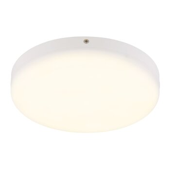 Matthew Plafonnier Luminaires Globo Lighting LED Blanc, 1 lumière