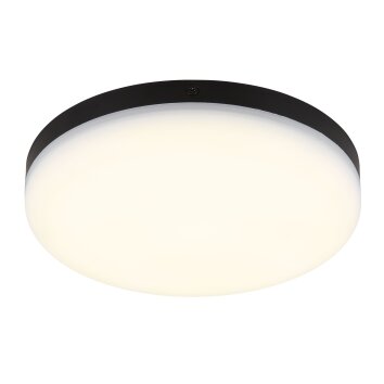 Matthew Plafonnier Luminaires Globo Lighting LED Noir, 1 lumière