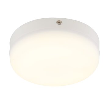 Matthew Plafonnier Luminaires Globo Lighting LED Blanc, 1 lumière