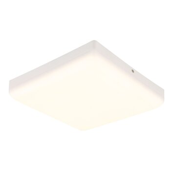 Matthew Plafonnier Luminaires Globo Lighting LED Blanc, 1 lumière