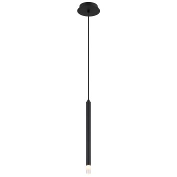 Blake Suspension Luminaires Globo Lighting Noir, 1 lumière