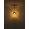 Baku Suspension Luminaires Globo Lighting Noir, 1 lumière