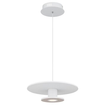 Carter Suspension Luminaires Globo Lighting LED Blanc, 1 lumière