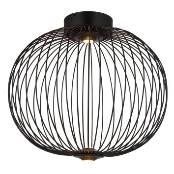 Galway Plafonnier Luminaires Globo Lighting LED Noir, 1 lumière