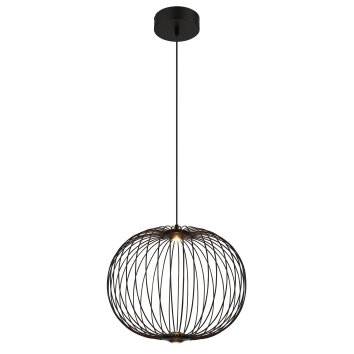 Galway Suspension Luminaires Globo Lighting LED Noir, 1 lumière