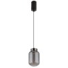 Fluoro Suspension Luminaires Globo Lighting LED Noir, 1 lumière