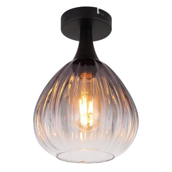 Olsen Plafonnier Luminaires Globo Lighting Noir, 1 lumière