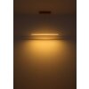 Muriella Suspension Luminaires Globo Lighting LED Clair, 1 lumière