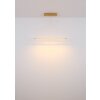 Muriella Suspension Luminaires Globo Lighting LED Clair, 1 lumière