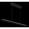 Muriella Suspension Luminaires Globo Lighting LED Noir, 1 lumière