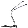 Treena Lampe à clip Luminaires Globo Lighting LED Noir, 1 lumière