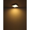 Doha Plafonnier Luminaires Globo Lighting LED Anthracite, Blanc, 1 lumière