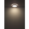 Bruno Plafonnier Luminaires Globo Lighting LED Brun, Noir, 1 lumière