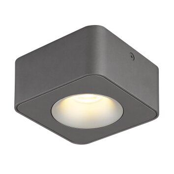 Hangarau Plafonnier Luminaires Globo Lighting LED Gris, 1 lumière