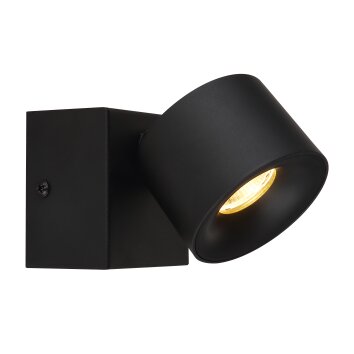 Rae Plafonnier Luminaires Globo Lighting LED Noir, 1 lumière