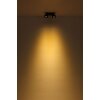 Rae Plafonnier Luminaires Globo Lighting LED Noir, 2 lumières