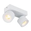 Rae Plafonnier Luminaires Globo Lighting LED Blanc, 2 lumières