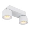 Rae Plafonnier Luminaires Globo Lighting LED Blanc, 2 lumières