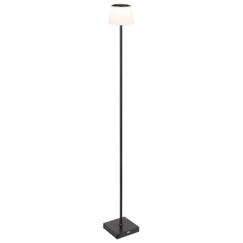 Gregoir Lampadaire Luminaires Globo Lighting LED Noir, 1 lumière