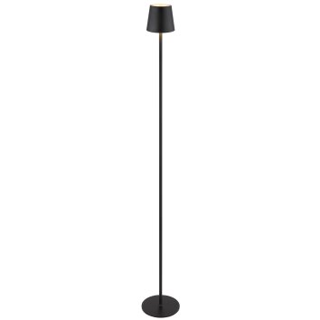 Vannie Lampadaire Luminaires Globo Lighting LED Noir, 1 lumière