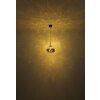 Firefly Suspension Luminaires Globo Lighting LED Noir, 1 lumière