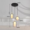 Lampigna Suspension Luminaires Globo Lighting LED Laiton, Noir, 1 lumière