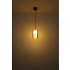 Lampigna Suspension Luminaires Globo Lighting LED Laiton, Noir, 1 lumière