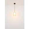 Lampigna Suspension Luminaires Globo Lighting LED Laiton, Noir, 1 lumière